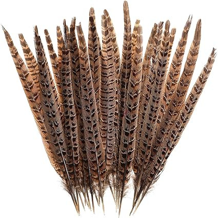 Amazon.com: AWAYTR 20pcs Natural Pheasant Feathers - Pheasant Tail 10-12inch(25-30cm) for DIY Dec... | Amazon (US)