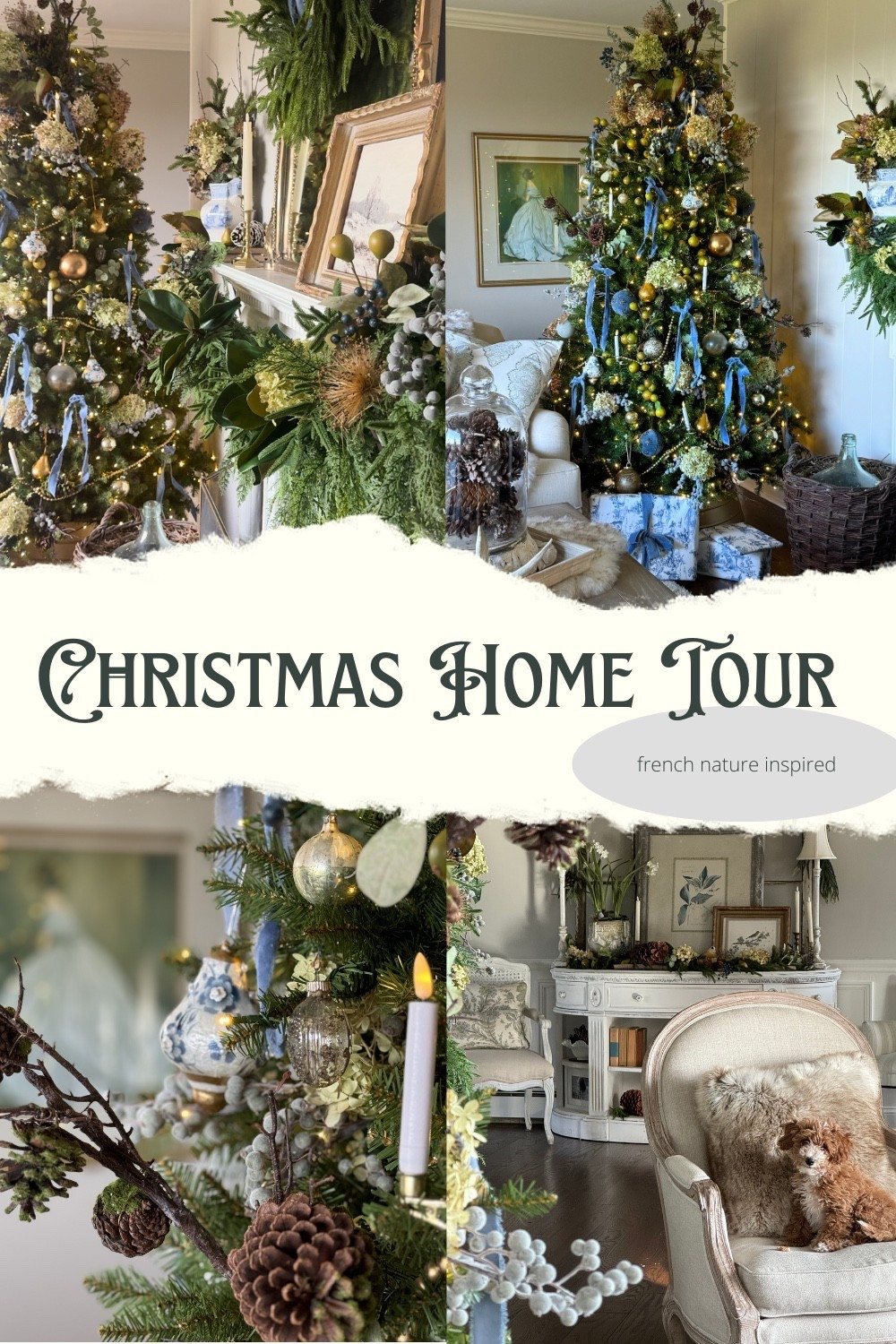 Shop the look from my French cottage Christmas home tour, filled with nature-inspired holiday décor, dried hydrangeas, magnolia, velvet ribbons, soft French blues, and cozy cottage textures. I linked every item — Christmas trees, garlands, ribbons, ornaments, wreaths, vases, and styling pieces — in my LTK so you can easily recreate this French country holiday style at home.

If you love French cottage Christmas decorating, garden-inspired holiday décor, cozy cottage interiors, and European Christmas style, this is the perfect inspiration to shop and save for your home.

Tap to shop the full holiday look on LTK and find all my sources linked in one place. 🎄💙🌿
#LTKHoliday #LTKHome #ShopHolidayDecor #CottageChristmas #FrenchCottageDecor #NatureInspiredChristmas #ChristmasDecorIdeas #LTKFinds 