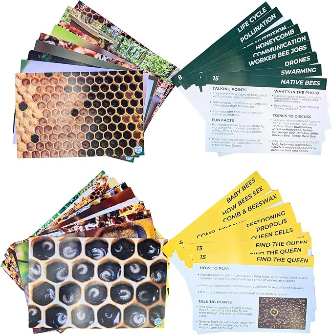 Educational Beekeeping Cards – 12x18 Oversized Beekeeping Flashcards for Teaching Bees and Beek... | Amazon (US)