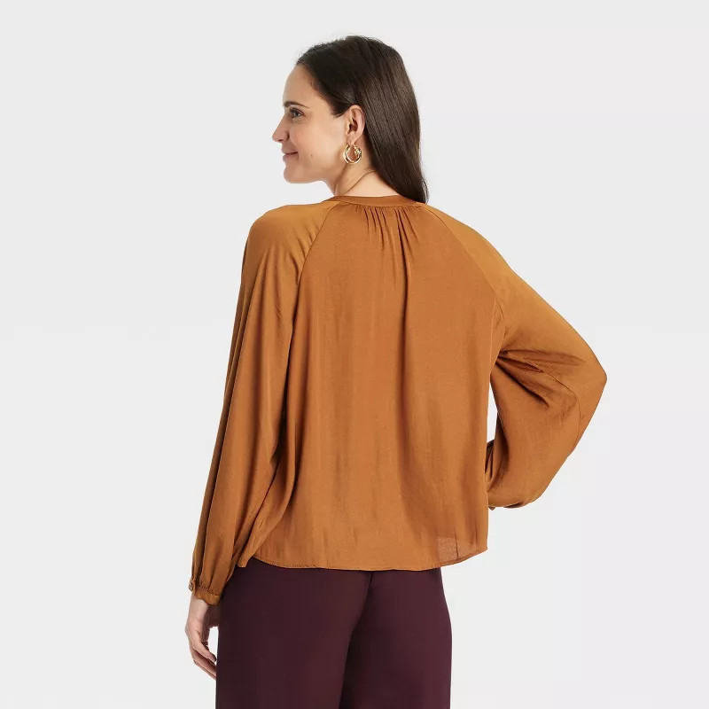 Women's Balloon Long Sleeve V-Neck Blouse - A New Day™ | Target