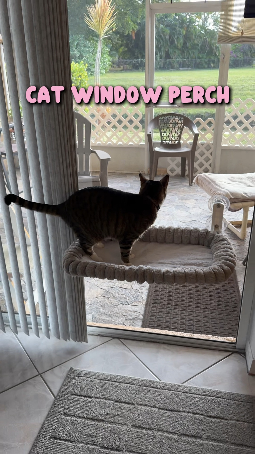 Cat window perch! Comes in two sizes and folds up. I got the large.

black friday deals, amazon black Friday, cyber monday, cat finds, cat items, cat must haves, pet finds, ltk pets, amazon cat finds


#LTKSaleAlert #LTKCyberWeek #LTKFindsUnder50