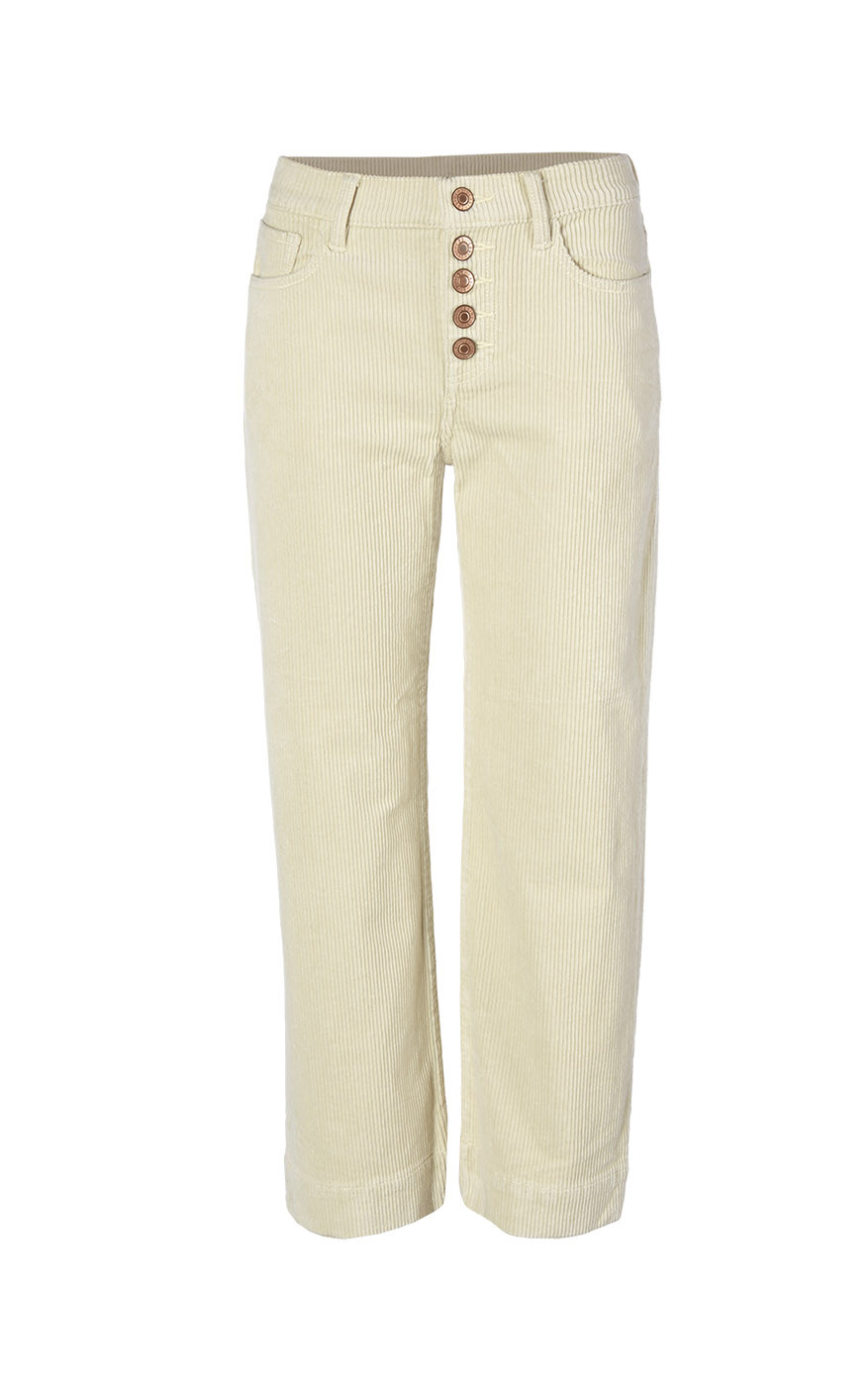 Palm Beach Crop | cabi