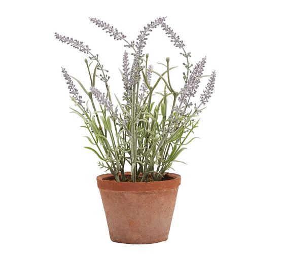 Faux Potted Lavender In Terra Cotta Pot | Pottery Barn (US)