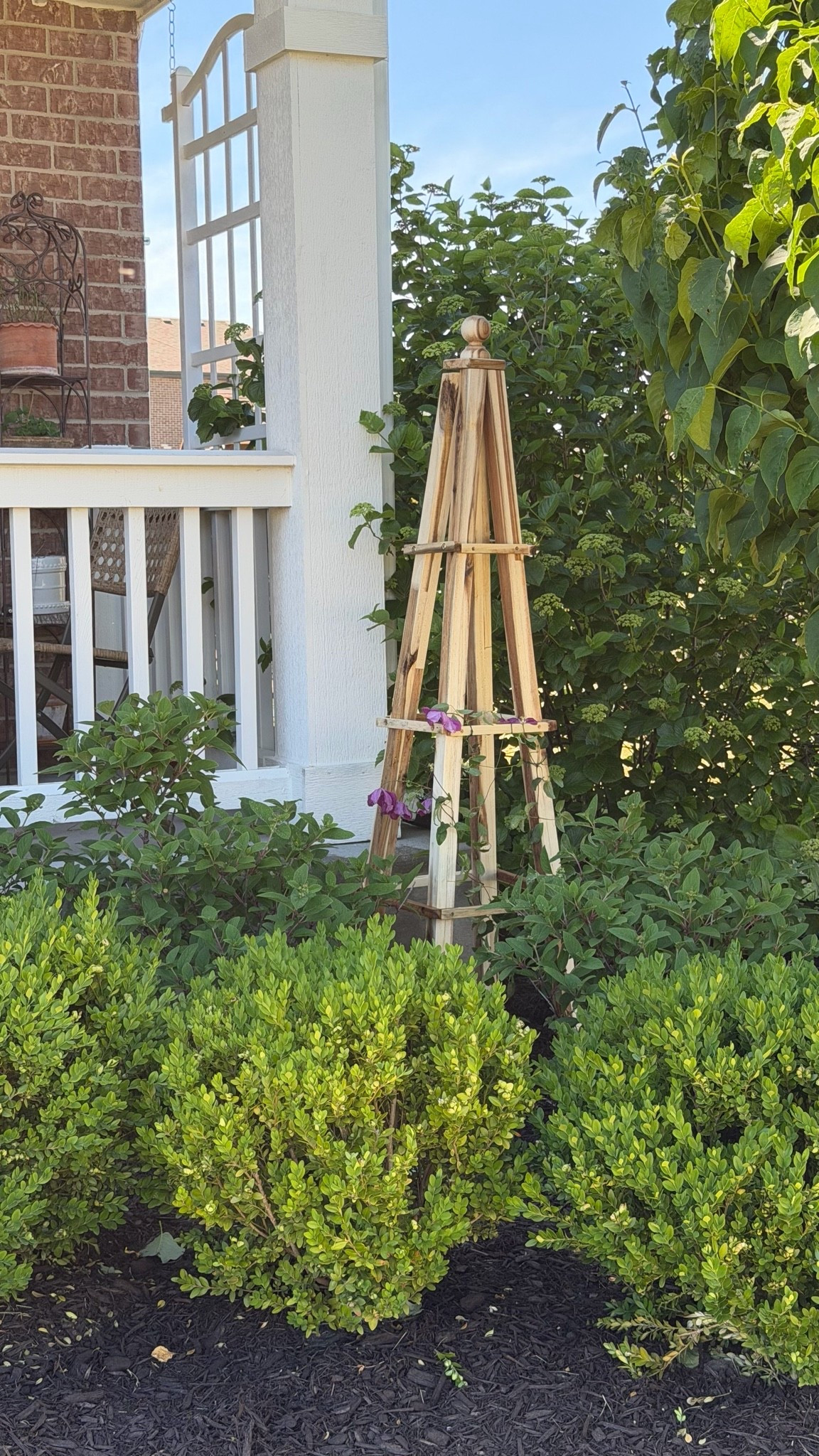 Solid acacia wood garden obelisk for my clematis to climb 🌿🌸

#LTKSeasonal #LTKHome