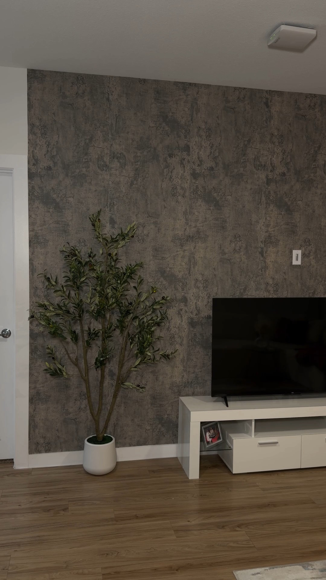 Rental friendly accent wall

#LTKU #LTKHome #LTKActive