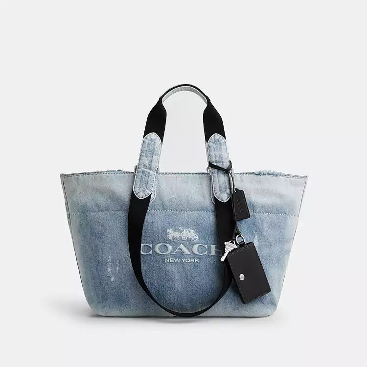 Small Tour Tote Bag | Coach (US)