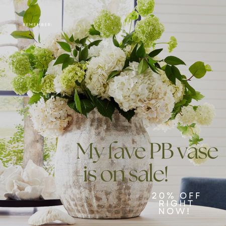 This gorgeous planter/vase is on sale right now - and it never is! Stunning anywhere you put it!

#homedecor #statementvase #summerdecor 



#LTKSeasonal #LTKhome #LTKFind