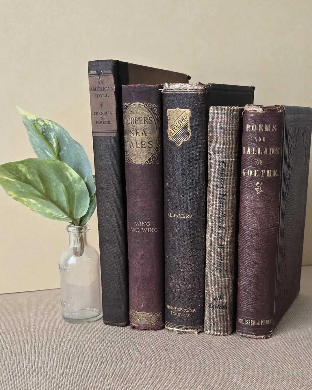 Vintage Book Collection: Chestnut Brown Decor - 5 Volume Set. Classic, Antique Books - Etsy | Etsy (US)