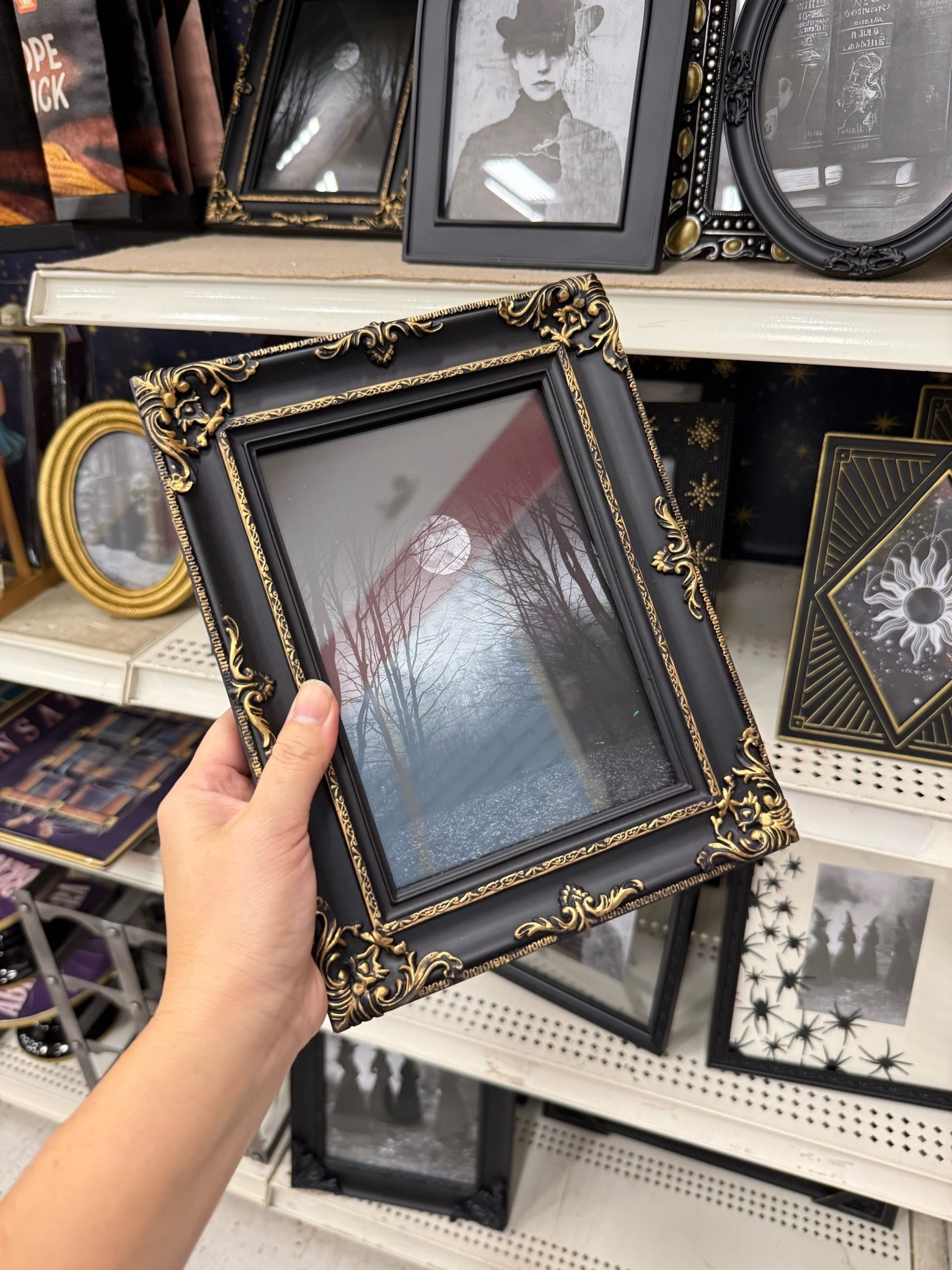 Michaels craft store Halloween decor

#LTKSeasonal #LTKHome