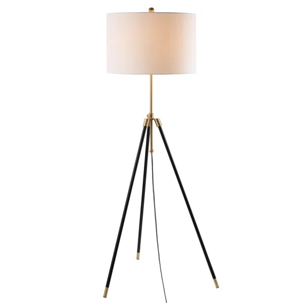Matt 67" Tripod Floor Lamp | Wayfair North America