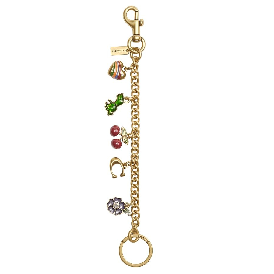 Coach womens Motif Chain Bag Charm | Amazon (US)