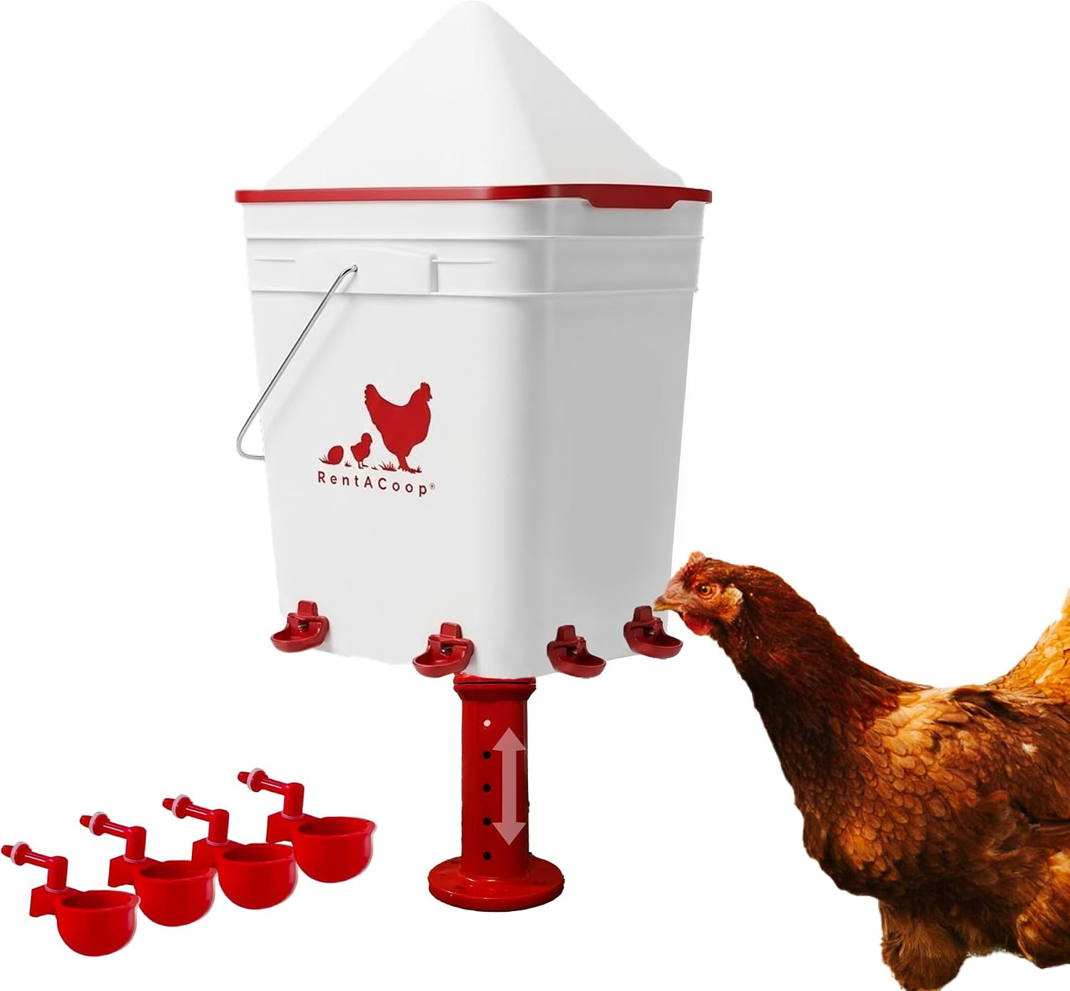 RentACoop 5 Gallon Chicken Waterer with 4 Auto-Fill Water Cups, 4 Horizontal Nipples,... | Amazon (US)