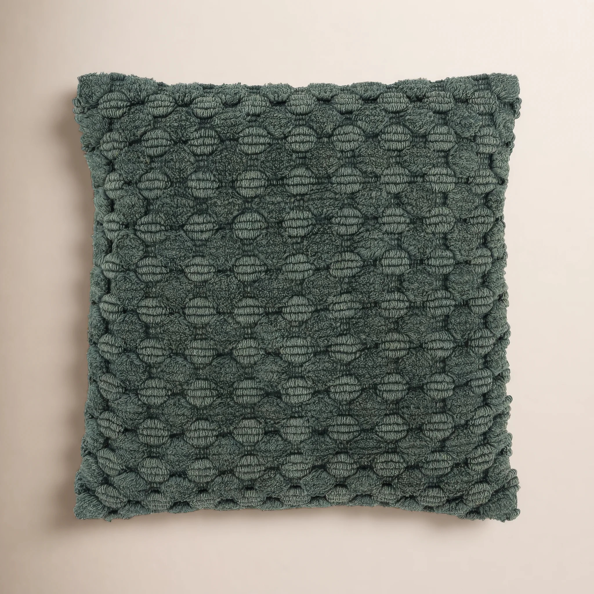 Roya Throw Pillow | Wayfair North America
