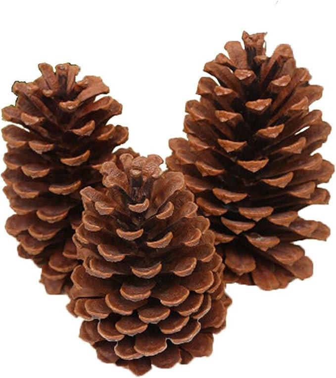 Christmas Natural Pinecones Ornaments Xmas Tree Ornaments Natural Wood Christmas Tree Decoration ... | Amazon (US)