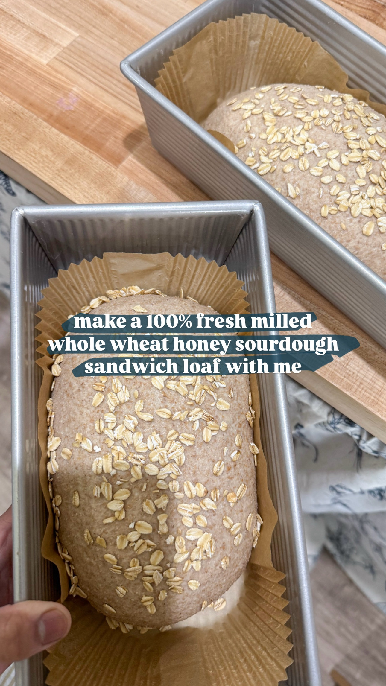 100% fresh milled whole wheat + honey + sourdough starter = the sandwich loaf of Winnie the Pooh’s dreams 🍯🍞🐻

If you’ve ever wondered how to bake soft, sliceable sourdough with fresh milled flour — this one’s for you. It’s naturally leavened, full of flavor, and yes… it makes amazing toast too.

If you have questions about milling, tangzhong, or just getting your sourdough softer, I’d love to chat. Drop a comment below or just say hi 💛✨

#freshmilledflour #sourdoughsandwichloaf #wholewheatbread #sourdoughbaking #breadbakinglove #sourdoughstarter

#LTKKids #LTKFamily #LTKHome