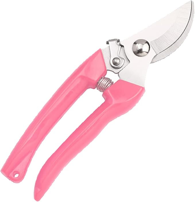 Curve Gardening Scissor with Sharp Stainless Steel Blade Garden Shears for Cutting Flowers Trimmi... | Amazon (US)