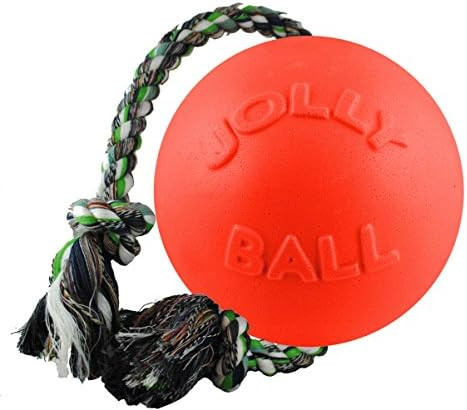 Jolly Pets Romp-n-Roll Rope Ball Dog Toy | Amazon (US)