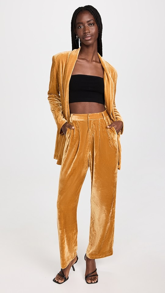 Velvet Single Breasted Blazer | Shopbop