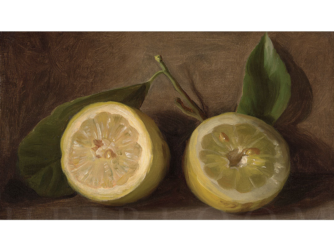 Lemons Frame TV | Heirloom Print Shop