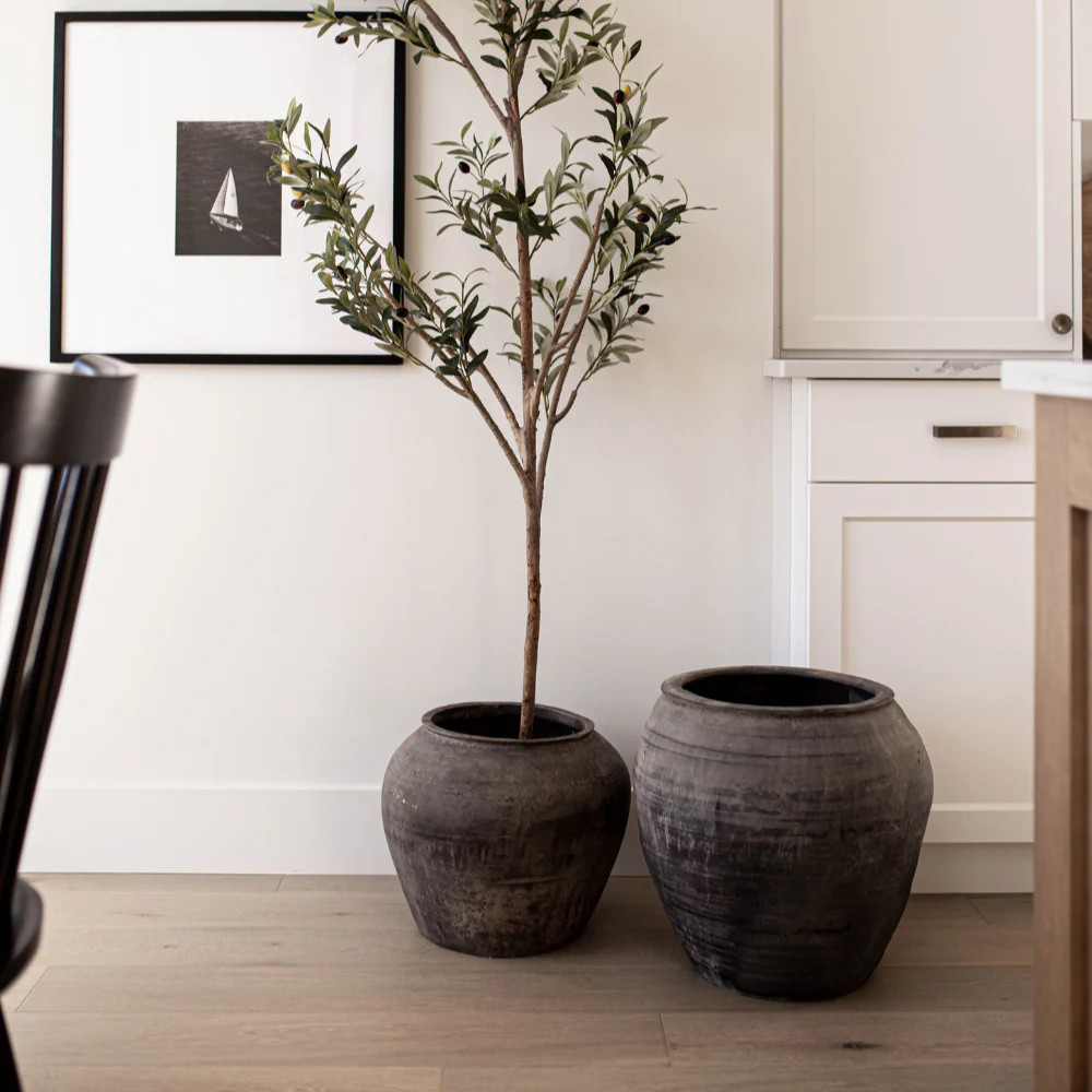 Atelier Black Vintage Olive Tree Pot | By Luxe B Co. | luxe bCO