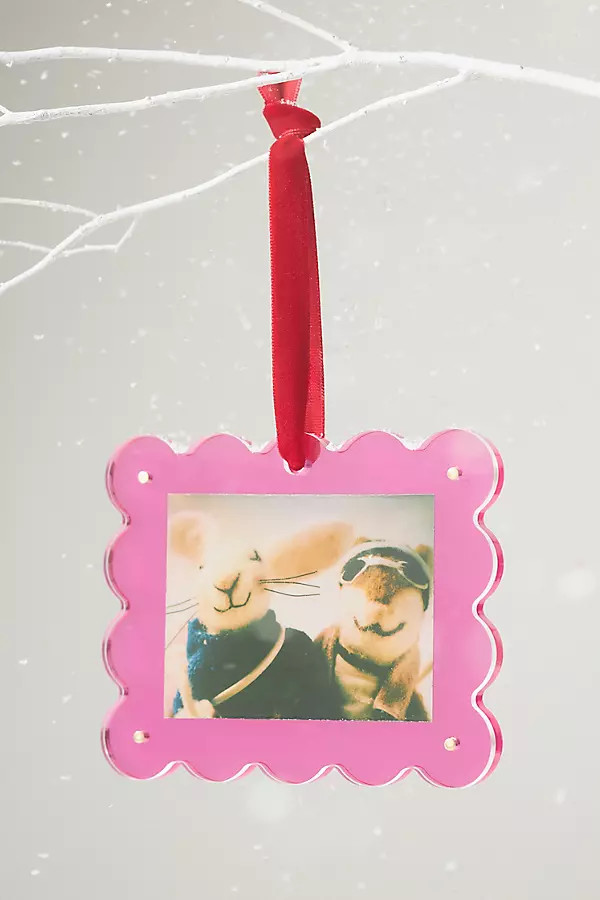 Pink Acrylic Picture Frame Ornament | Anthropologie (US)