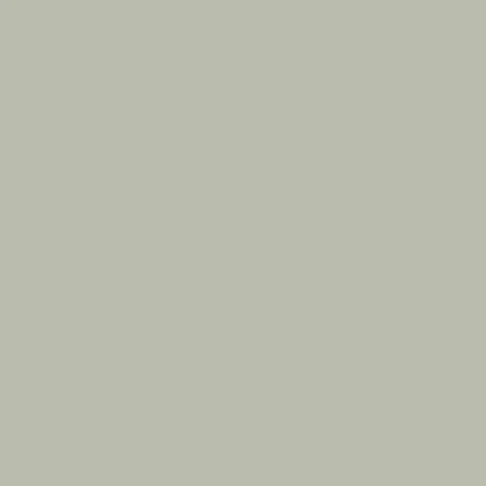 Soft Sage (9647) - Paint Sample | Samplize