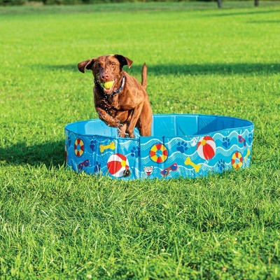 BigMouth Inc. Patterns & Splashes Foldable Hard Side Dog Pool | Target