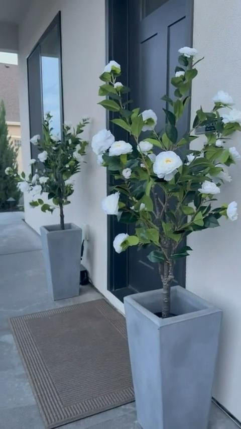 I’ve been using these faux potted trees to frame the front door and love how they add height and structure without any upkeep. The soft greenery and simple planters keep the entry feeling clean and welcoming.

Sharing the trees and planters here if you’re looking for an easy, low-maintenance front porch update. 
@Target 
@Wayfair 
@Amazon
@thehomedepot

#LTKSaleAlert #LTKHome #LTKU