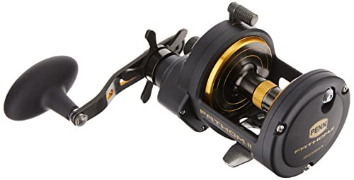Penn Fathom II Star Drag Conventional Fishing Reel, Black Gold | Amazon (US)