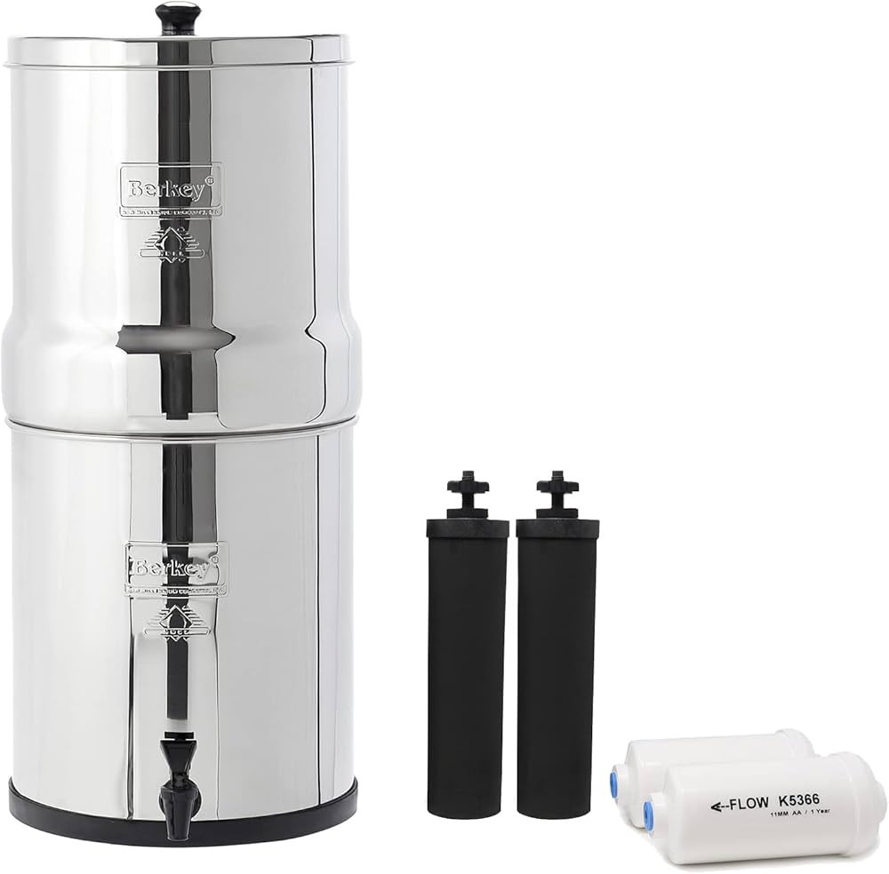 Big Berkey BK4X2 Countertop Water Filter System with 2 Black Berkey Elements and 2 Fluoride Filte... | Amazon (US)