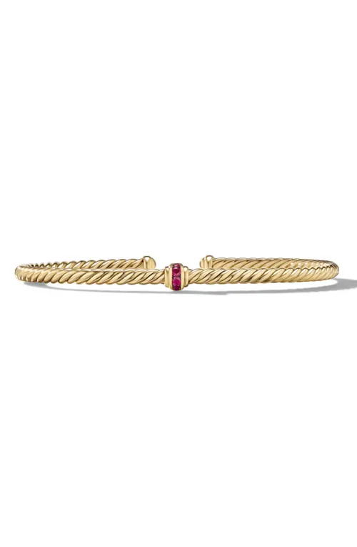 David Yurman Classic Cablespira® Station Bracelet in 18K Yellow Gold with Pavé Semiprecious Stones, 3mm at Nordstrom, Size Large | Nordstrom