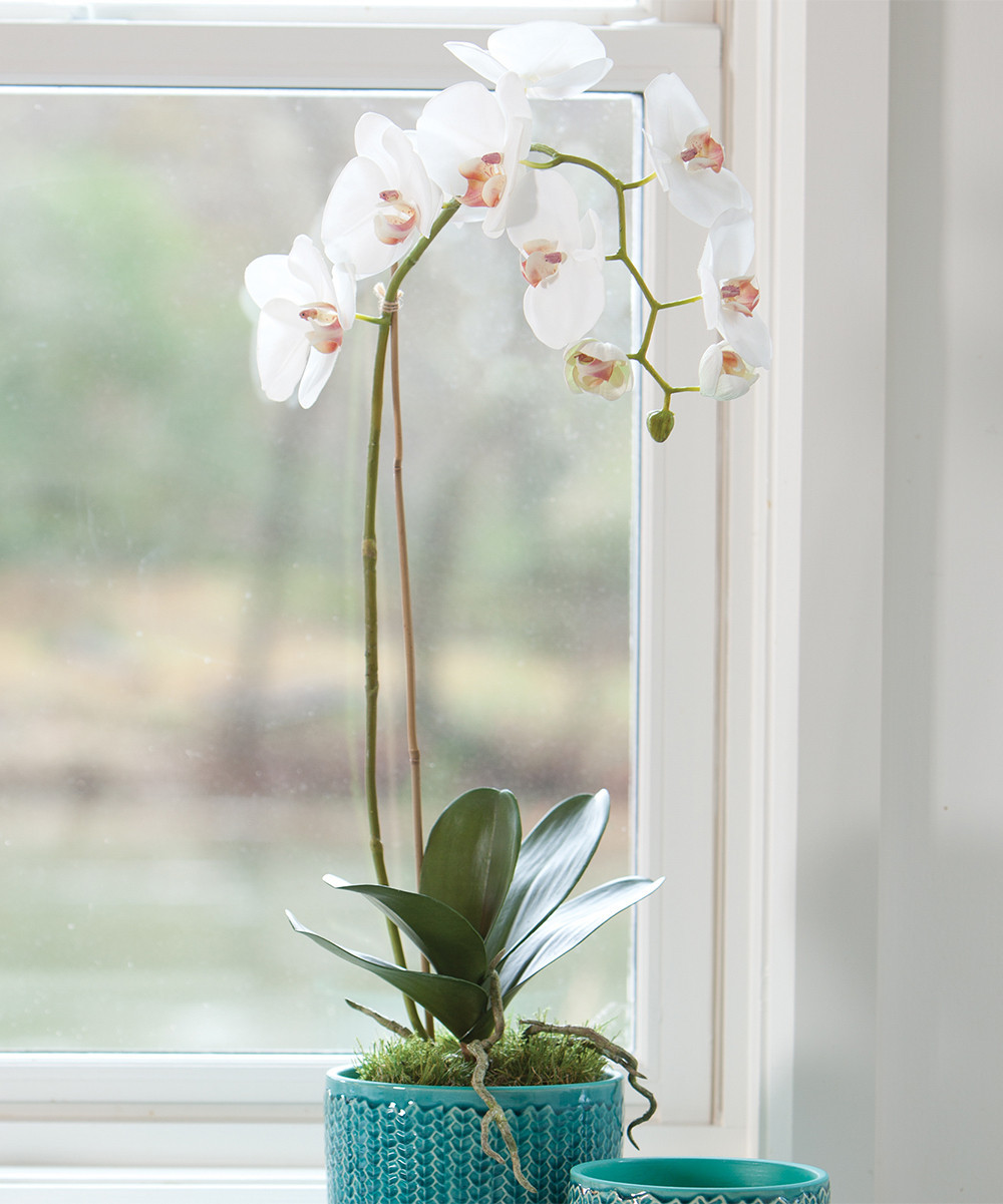 Porch & Petal Floral WHITE - 26'' White Faux Phalaenopsis Orchid | Zulily