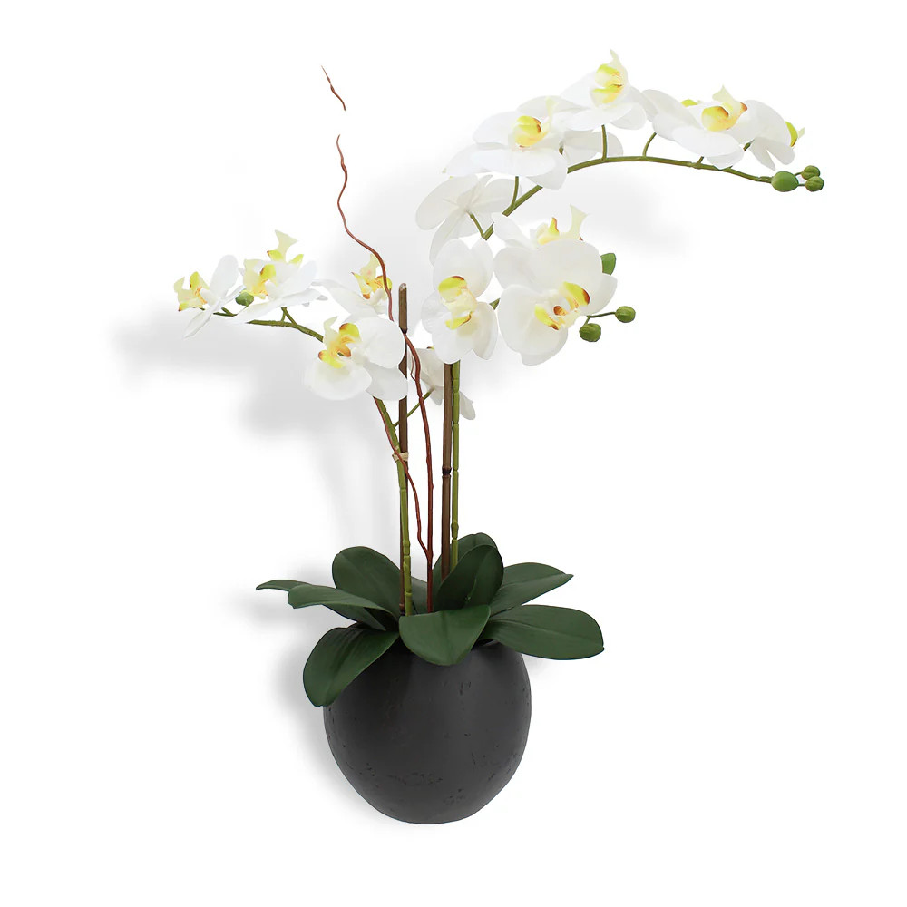 Premium Faux White Double Stem Orchid | CG Hunter | Luxury Faux Plants | CG Hunter