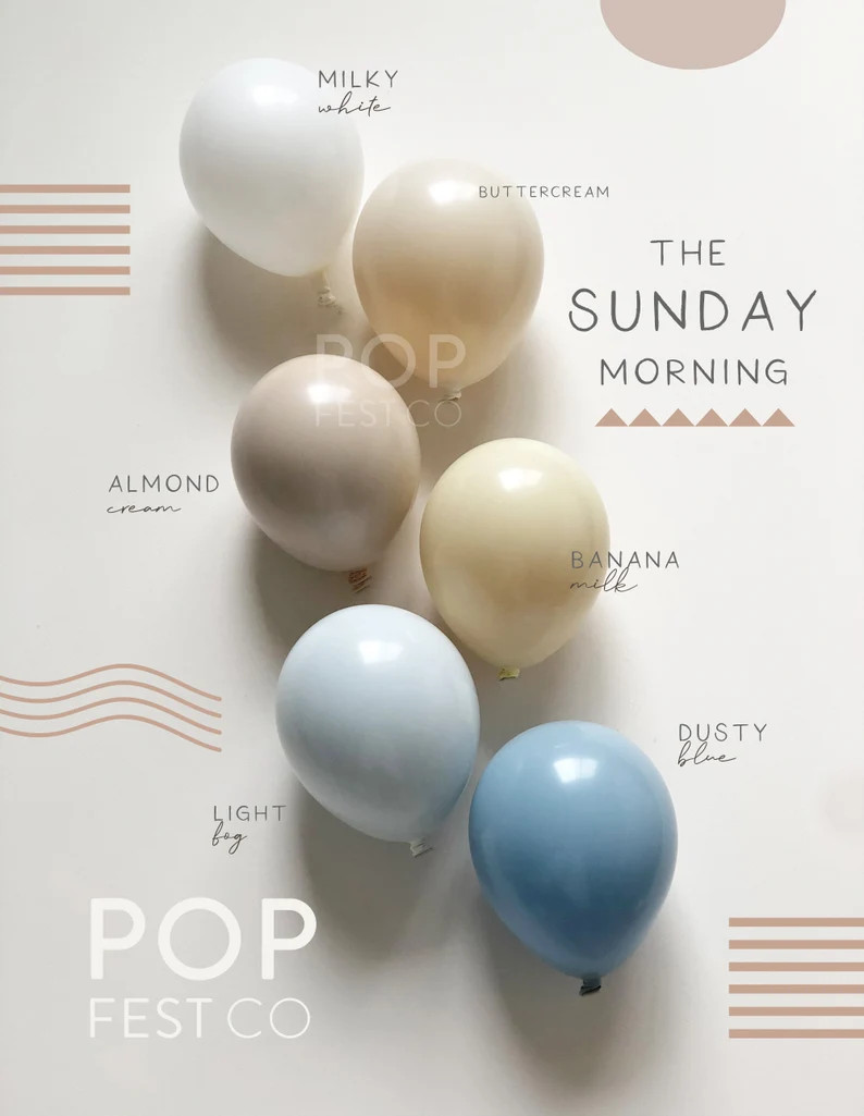 DIY Balloon Garland Arch Kit / Custom High Quality MATTE - Etsy | Etsy (US)