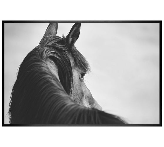 Sideways Glance Framed Paper Print by Jennifer Meyers | Pottery Barn (US)