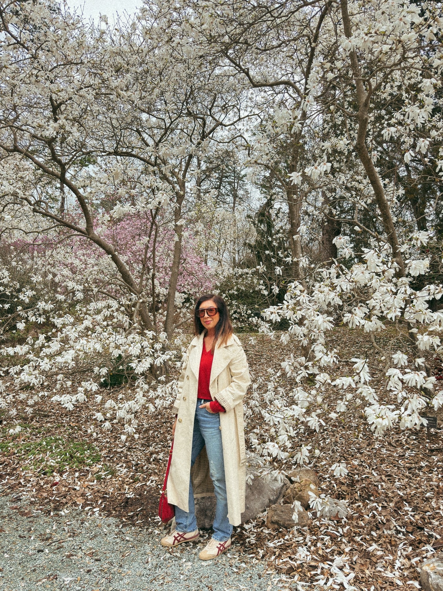 Spring cherry blossoms 'fit 🌸

#LTKSeasonal #LTKSpringSale #LTKOver40