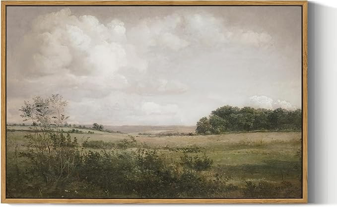 VIYYIEA Nature Large Framed Wall Art, Wilderness Vintage Art Decor Room Aesthetic, 16X24 Inch Can... | Amazon (US)