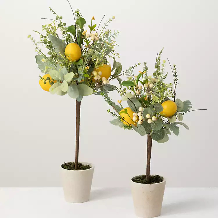 Potted Lemon and Berry Herb Trees, Set of 2 | Kirkland's Home