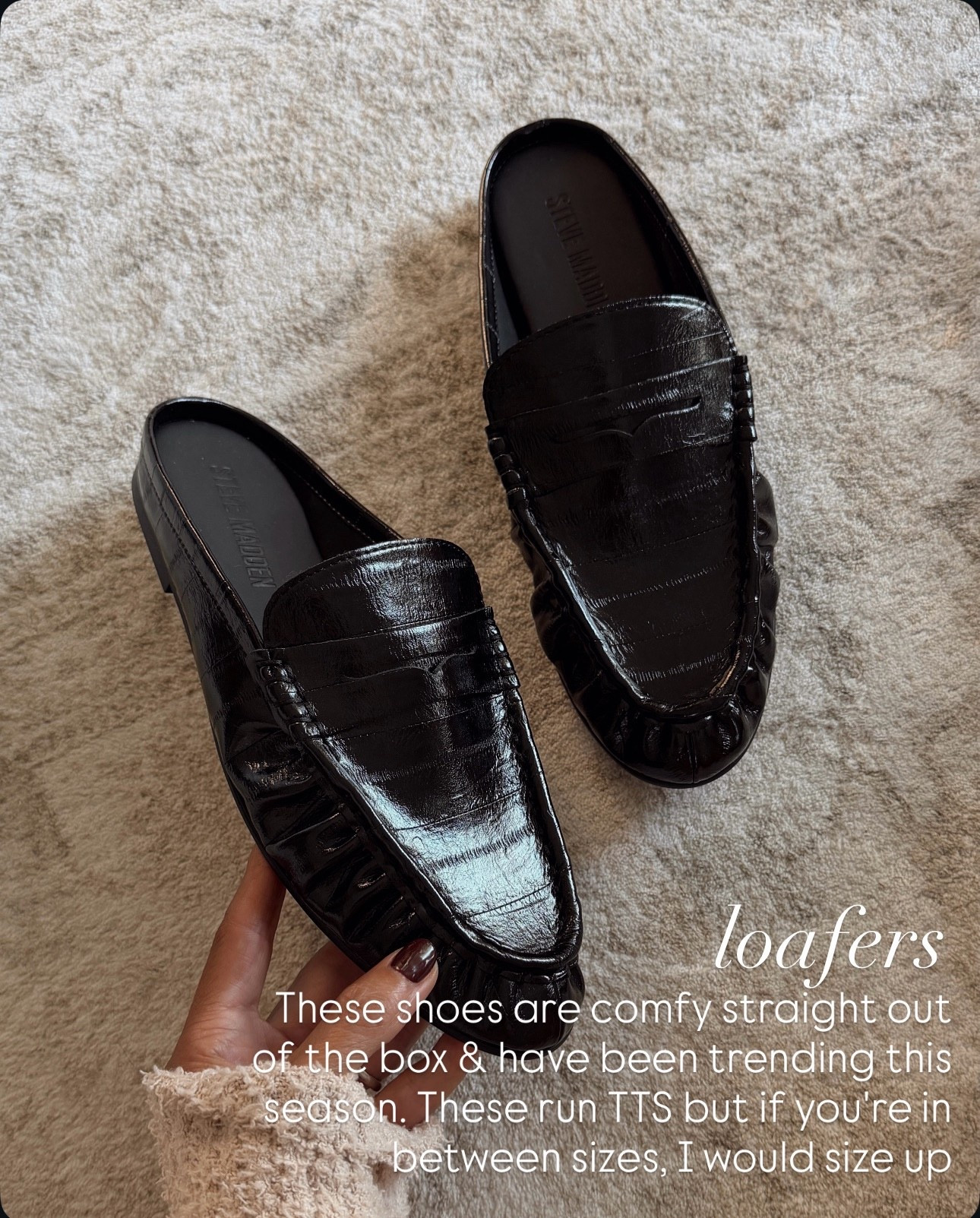 Very worthy Amazon basics that completed my wardrobe #stylinbyaylin #aylin #amazonfind #amazonbasics #closetstaples

#LTKBeauty #LTKgrwm #LTKootd