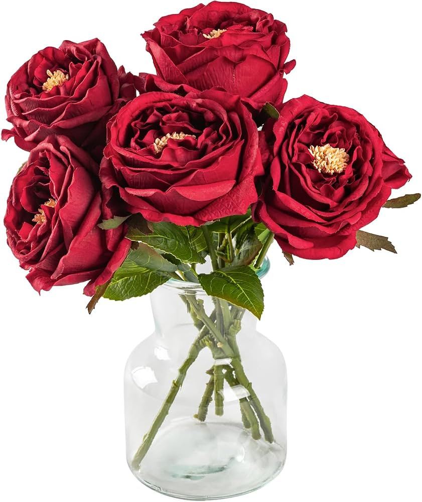 DuHouse 5Pcs Silk Roses Fake Red Roses with Stems Real Touch Rose Artificial Flowers for Arrangem... | Amazon (US)