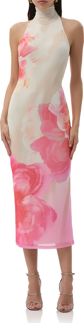 AFRM Olimpia Floral Halter Neck Mesh Dress | Nordstrom | Nordstrom