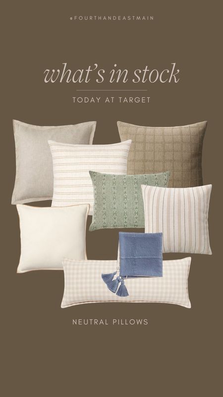 what’s in stock today at target

pillows affordable  pillows target 

#LTKhome