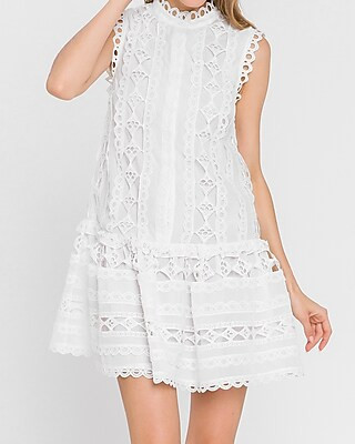 Endless Rose Lace Mini Dress | Express