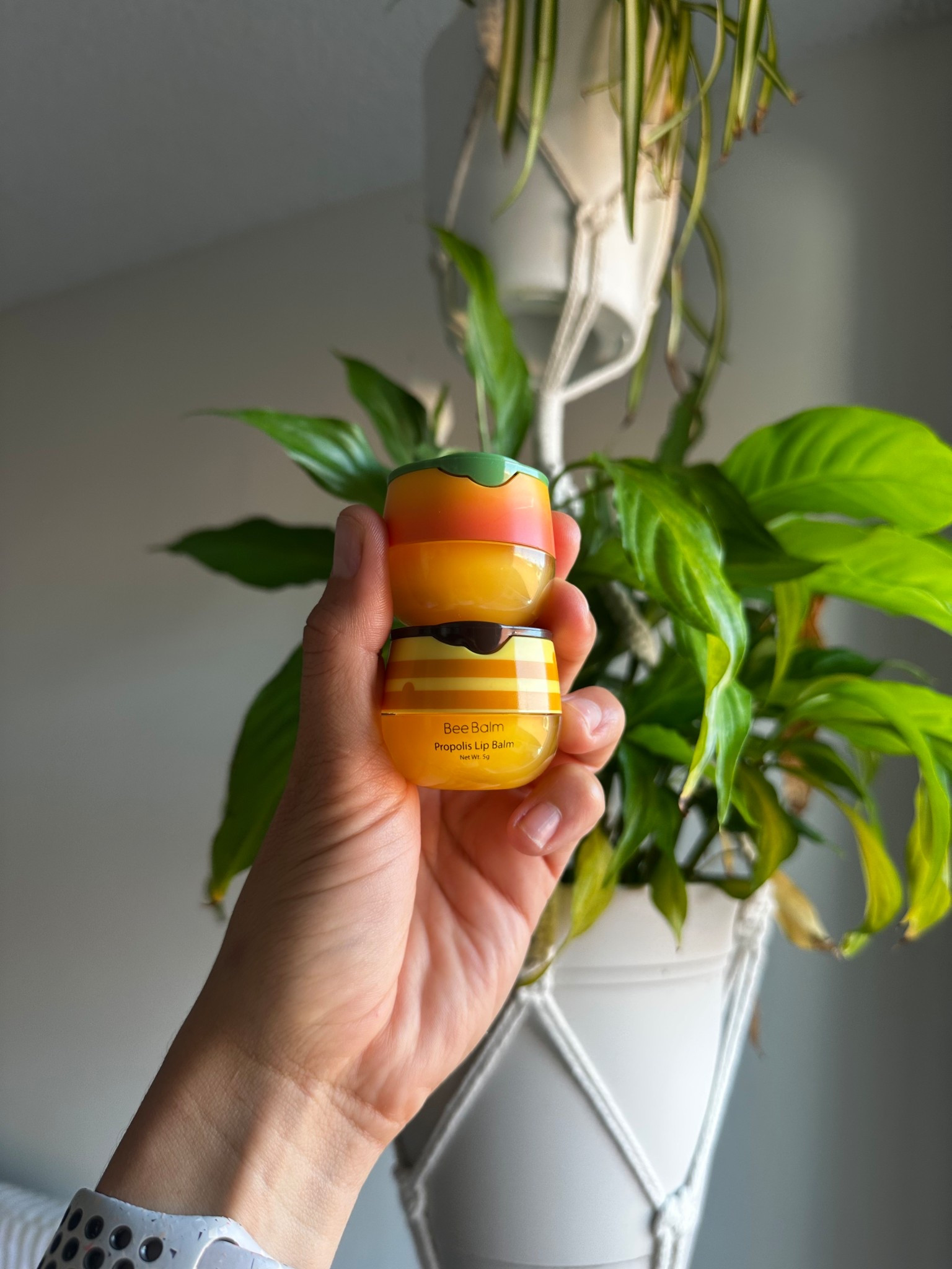 Meet my obsession: Bee Balm in Mango & Propolis – like a tropical hug for your lips 

#LTKStyleTip #LTKSummerEdit #LTKBeauty