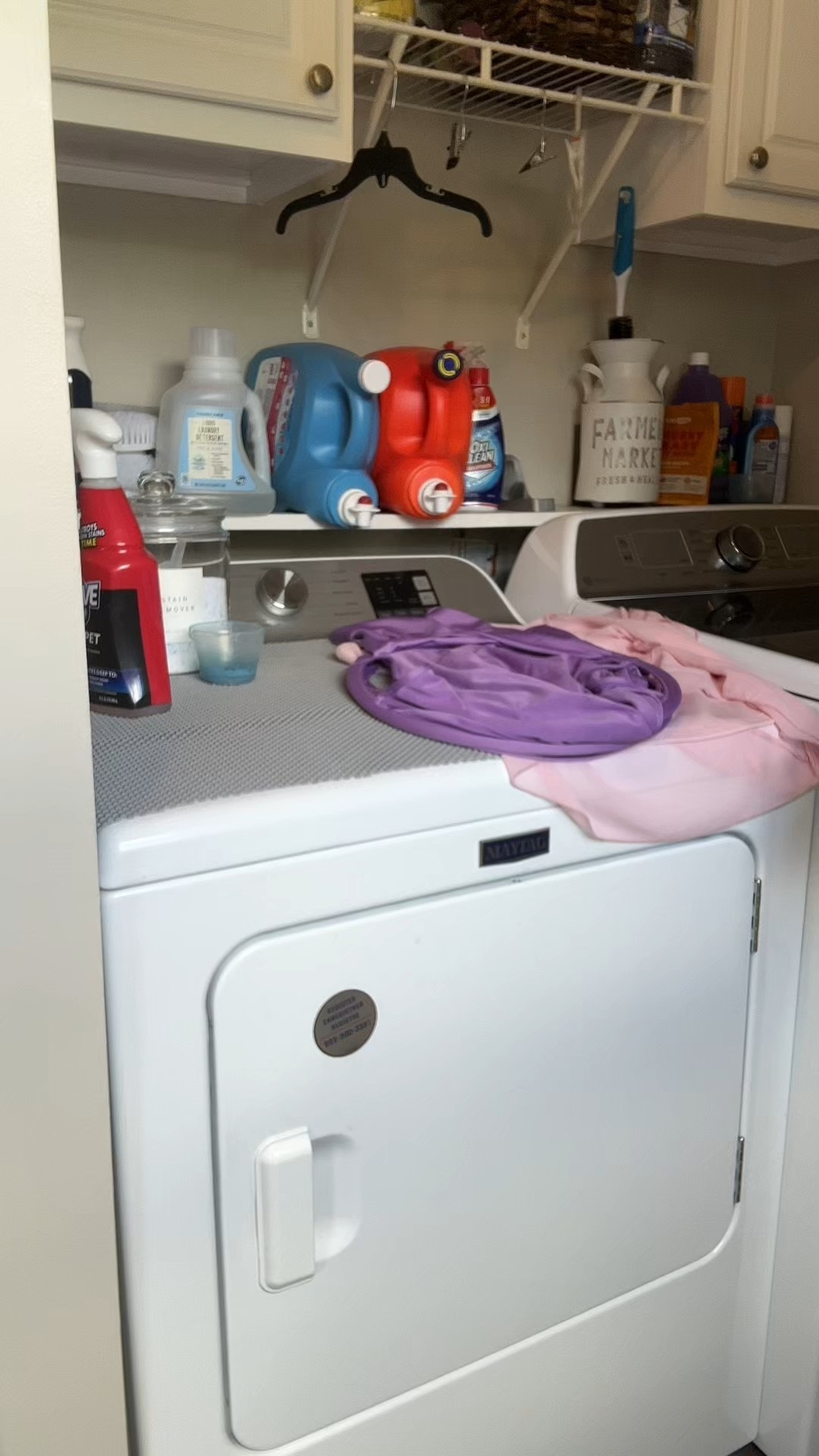 Laundry Turtle Collapsible Laundry Basket | Revolutionary Foldable Laundry Hamper | Innovative Laundry Basket for Dirty Clothes Washing & Dryer Removal Portable Laundry Grabber (Lavender, Large)

#laundry #laundrybasket #laundryturtle

#LTKHome #LTKBump #LTKFindsUnder50