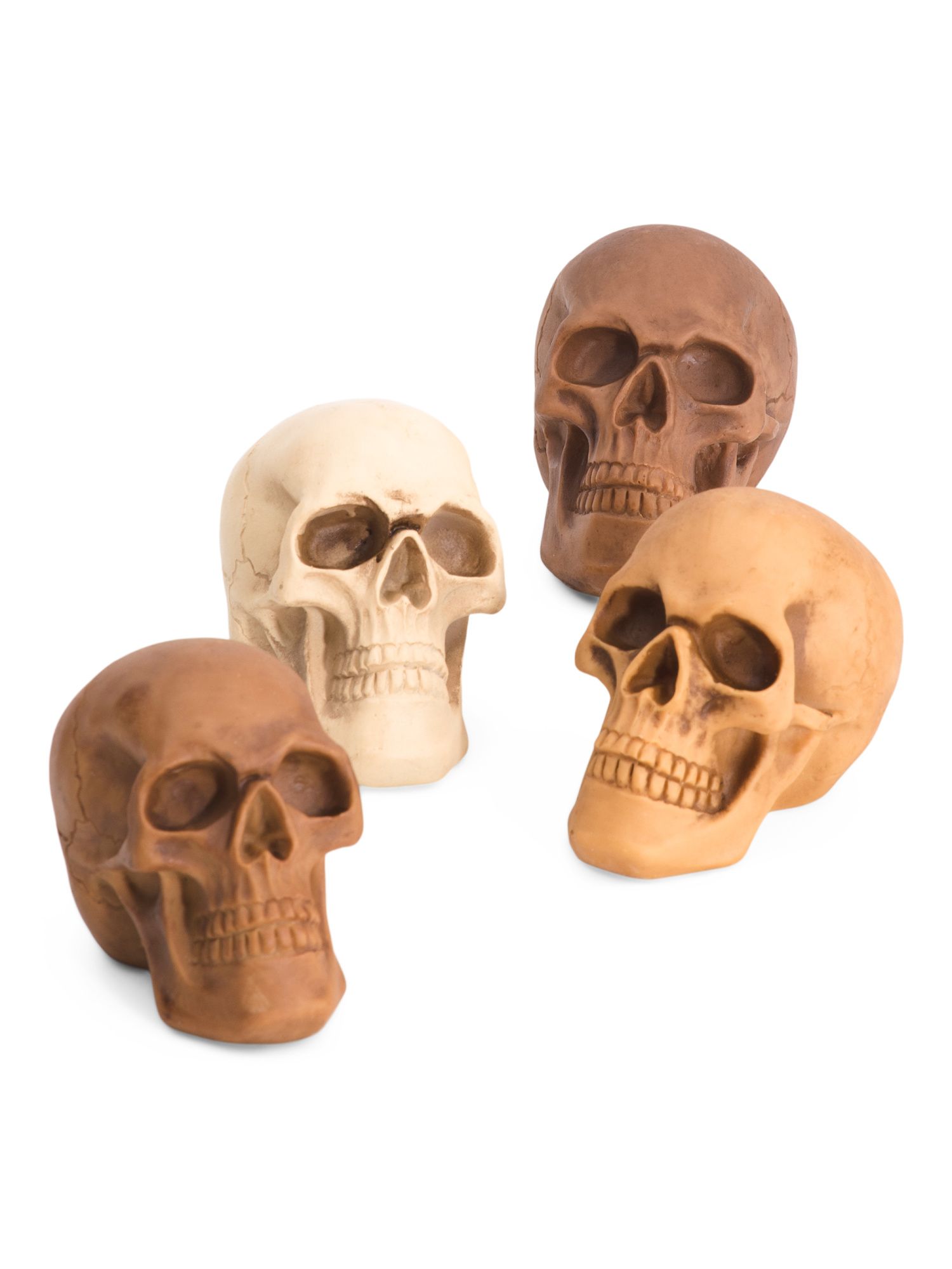 Set Of 4 3.75in Resin Skulls | TJ Maxx