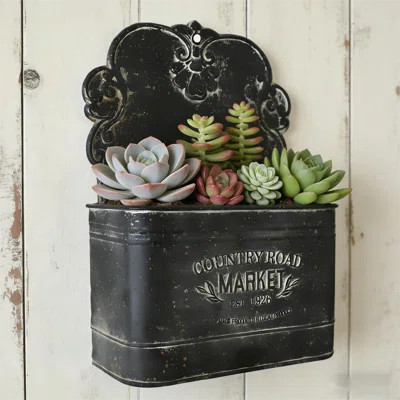 Romsey Vintage Metal Wall Planter for Outdoor/Indoor Plants | Wayfair North America