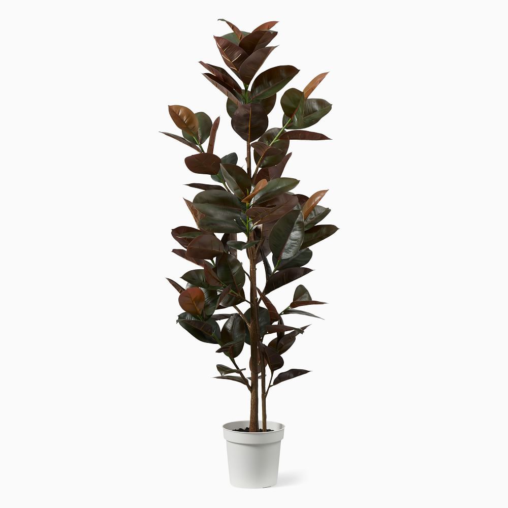 Faux Potted Rubber Tree, 68.5'' | West Elm (US)