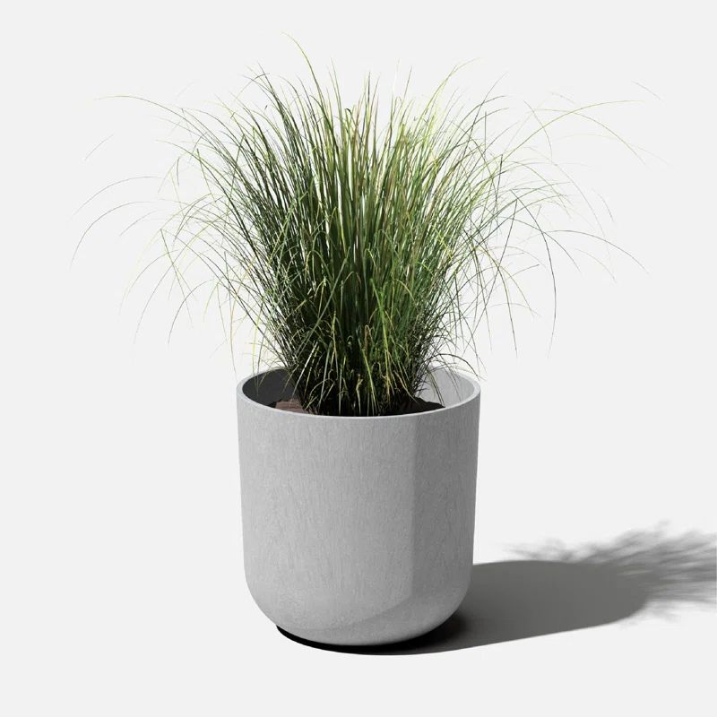 Pure Series Planter | Wayfair Professional