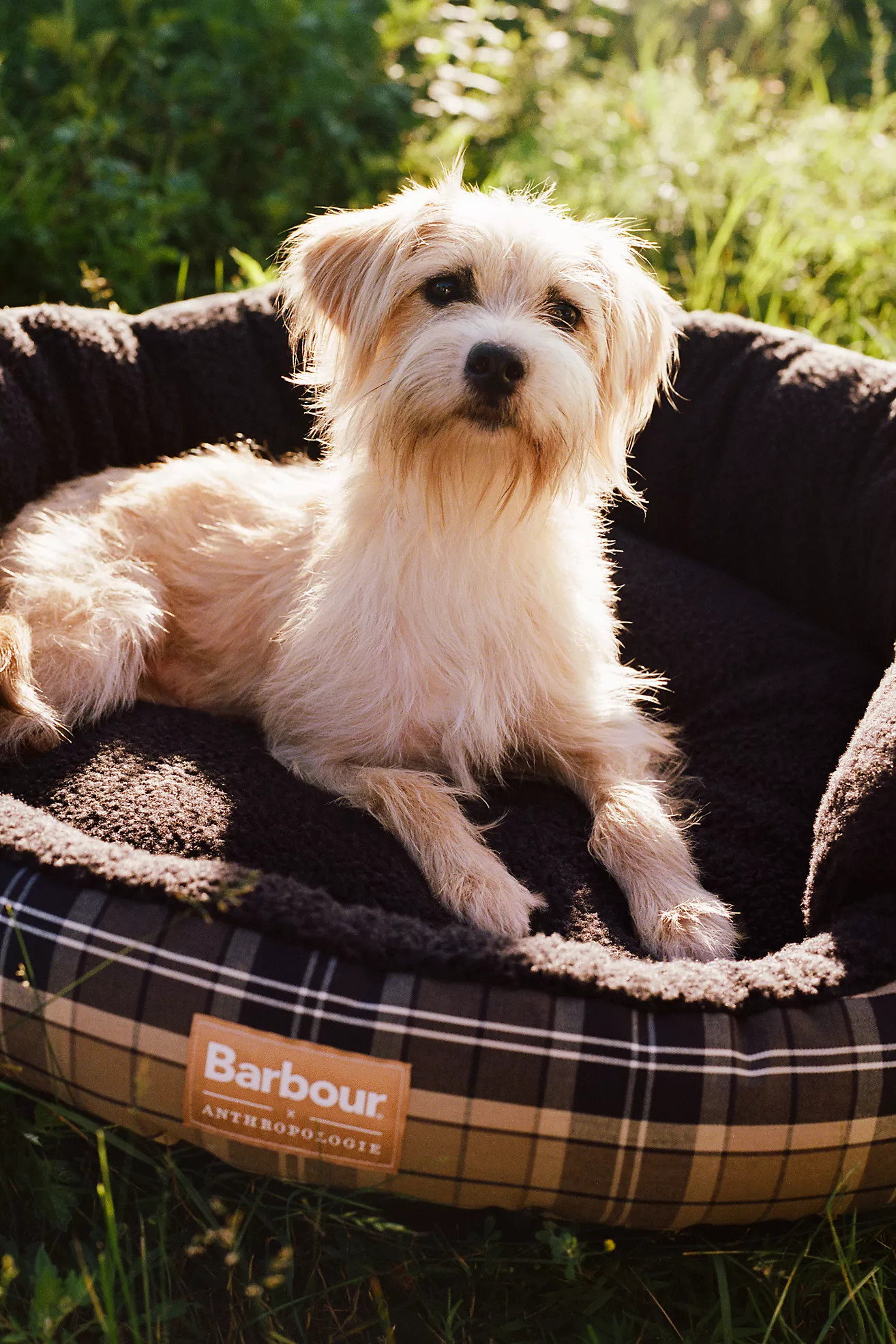 Barbour x Anthropologie 35" Round Tartan Dog Bed | Anthropologie (US)